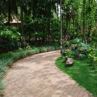 Carisbrook Home Stay, Mysore 2
